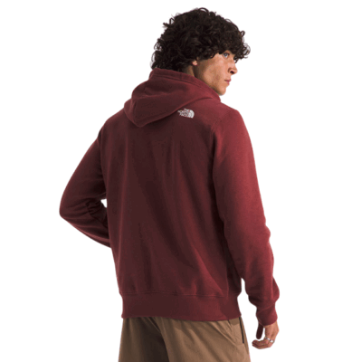BUZO THE NORTH FACE IMMERSED OUTDOORS H DOME HOODIE GRAPHIC
