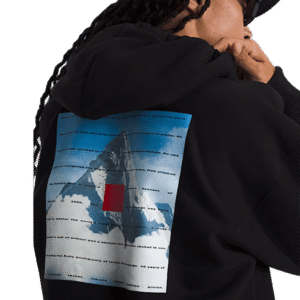 BUZO THE NORTH FACE M RED BOX ACONCAGUA HEAVYWEIGHT