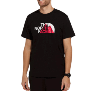 REMERA THE NORTH FACE M BINER GRAPHIC 1