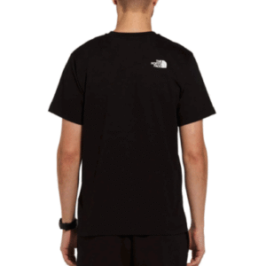 REMERA THE NORTH FACE M BINER GRAPHIC 1
