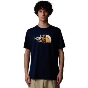 REMERA THE NORTH FACE M BINER GRAPHIC 1