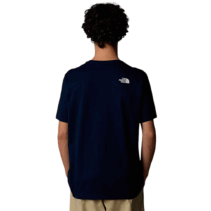 REMERA THE NORTH FACE M BINER GRAPHIC 1